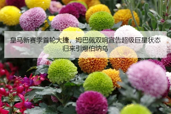 皇马新赛季首轮大捷，姆巴佩双响宣告超级巨星状态归来引爆伯纳乌
