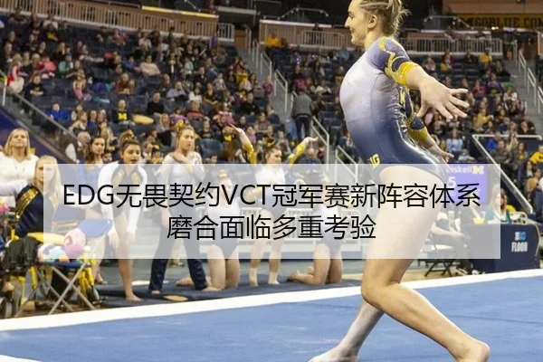 EDG无畏契约VCT冠军赛新阵容体系磨合面临多重考验